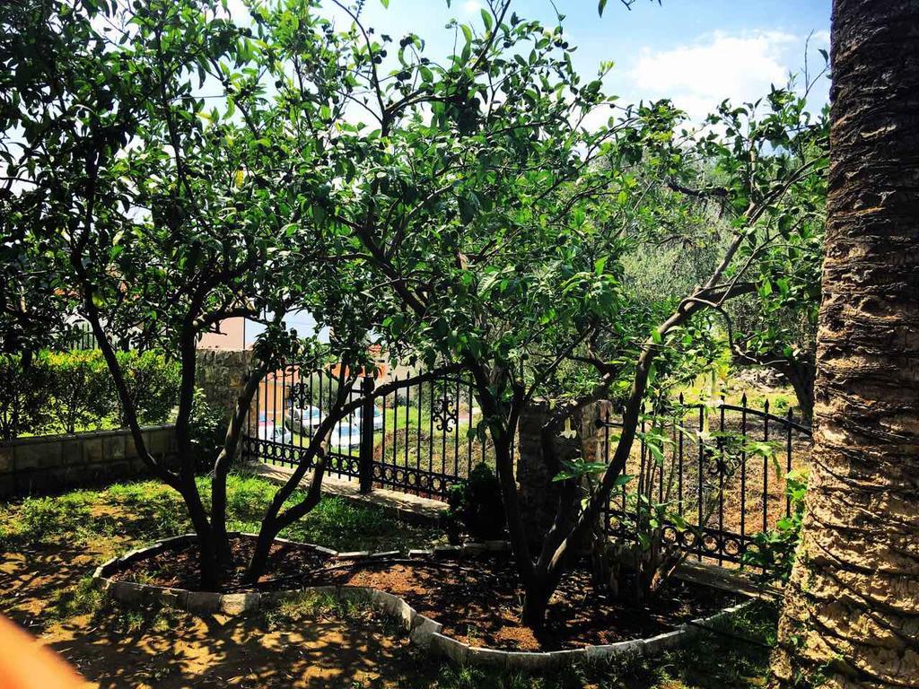 Apartments Medin Danilo Petrovac Екстер'єр фото