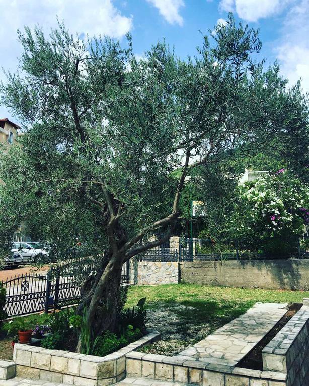 Apartments Medin Danilo Petrovac Екстер'єр фото